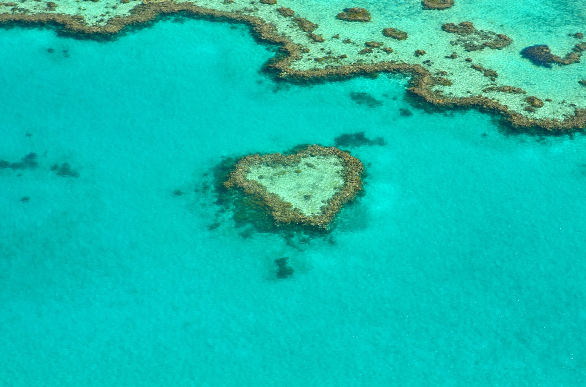 Great Barrier Reef in Australia