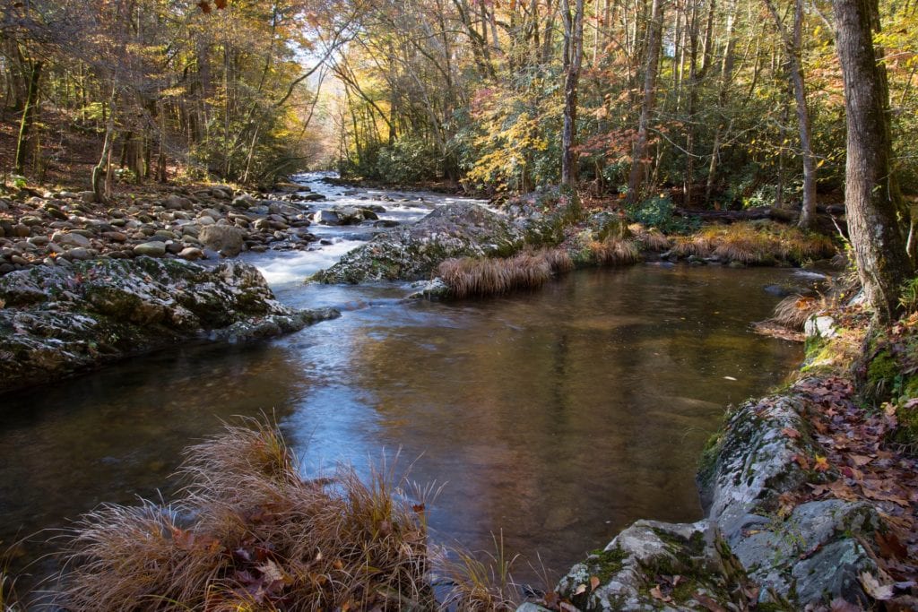 Great Smoky Mountains UNESCO World Heritage Site