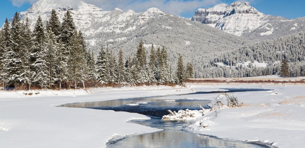 Yellowstone in winter