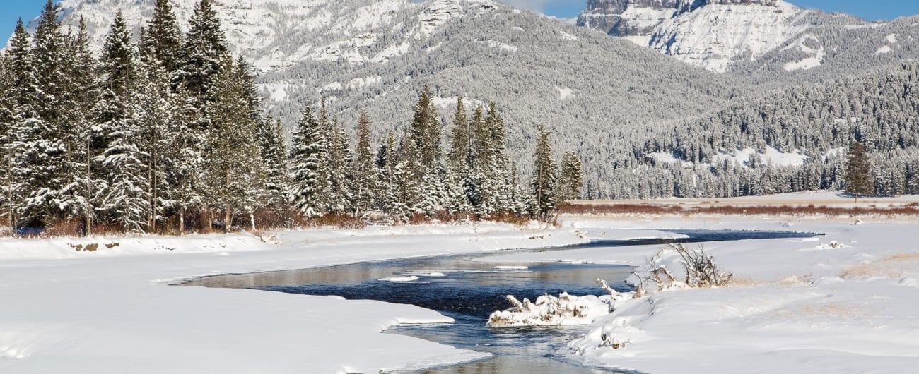 Yellowstone in winter