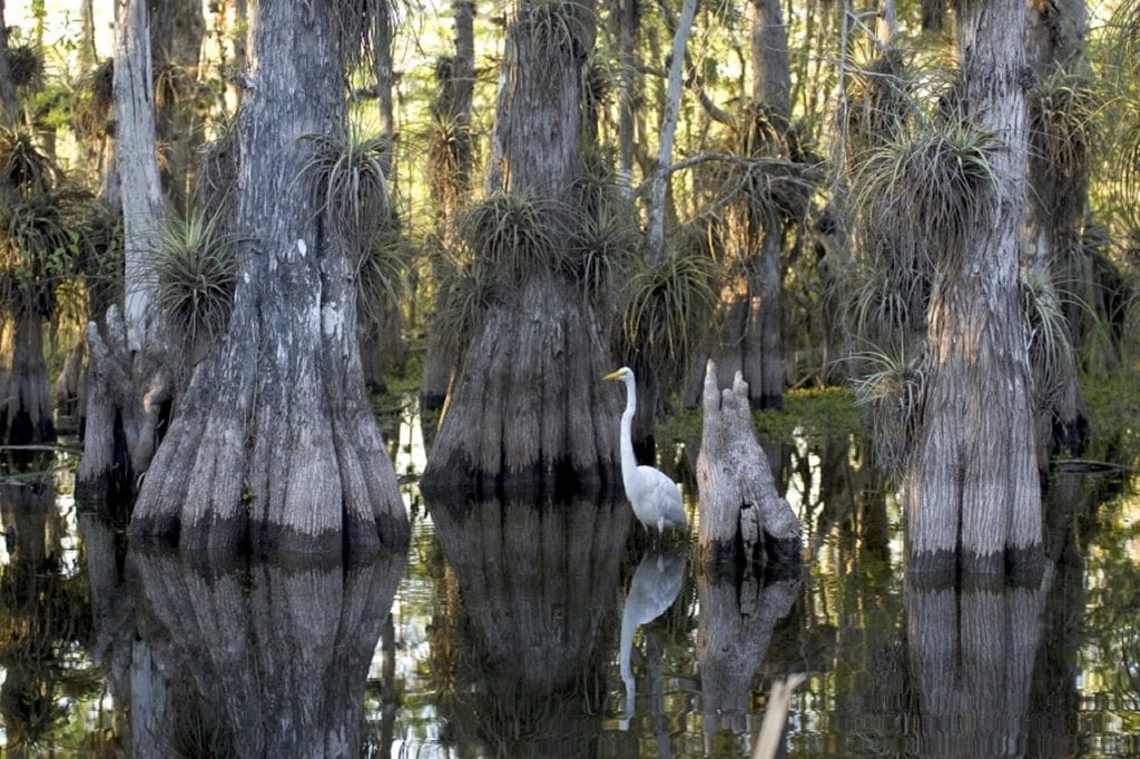 Everglades National Park - UNESCO World Heritage Site