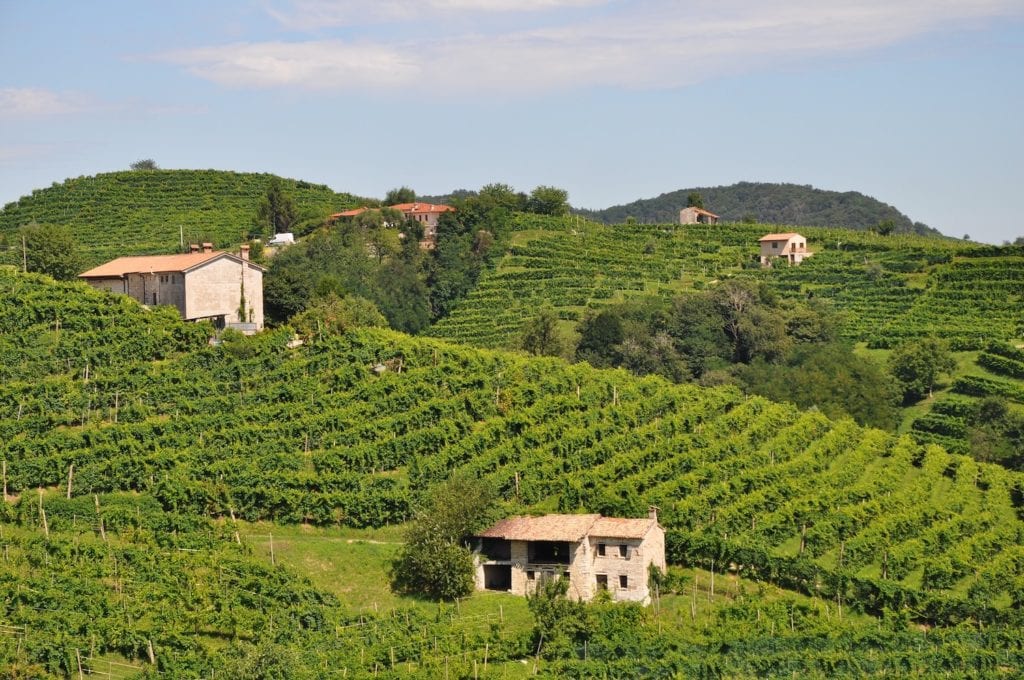 Prosecco wine production area