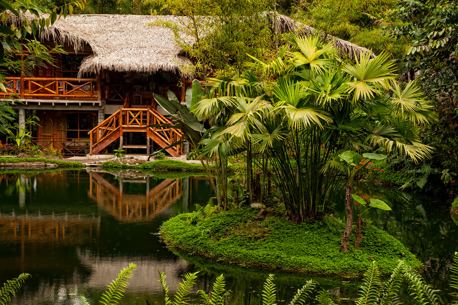 Mindo Loma, Eco Lodge Located In Ecuador, South America.