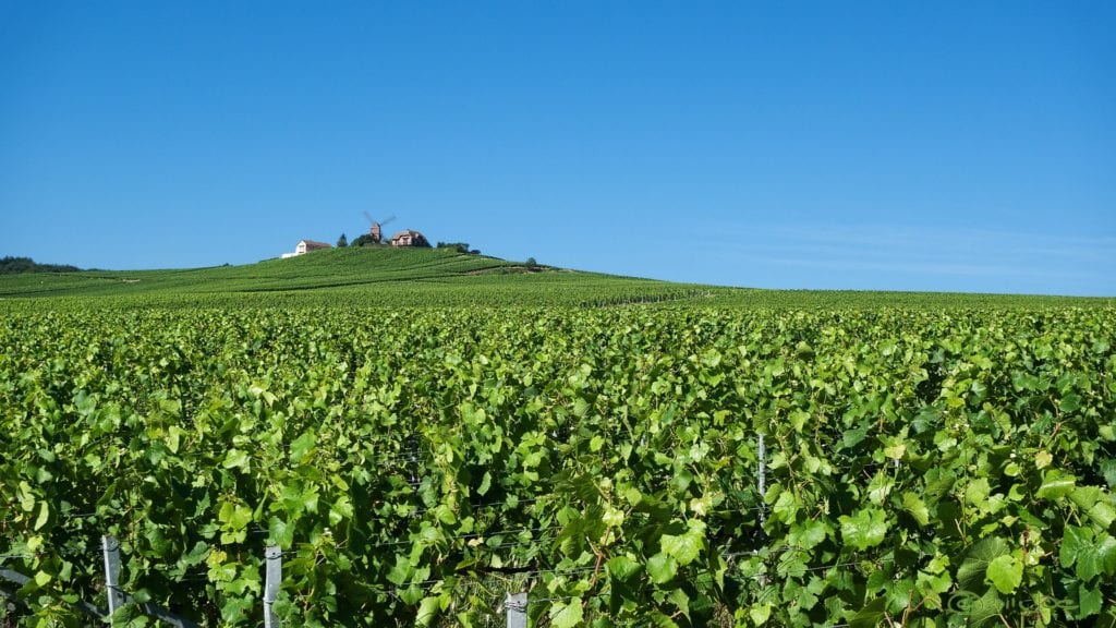 Reims Champagne Hillside in France is a UNESCO World Heritage Site