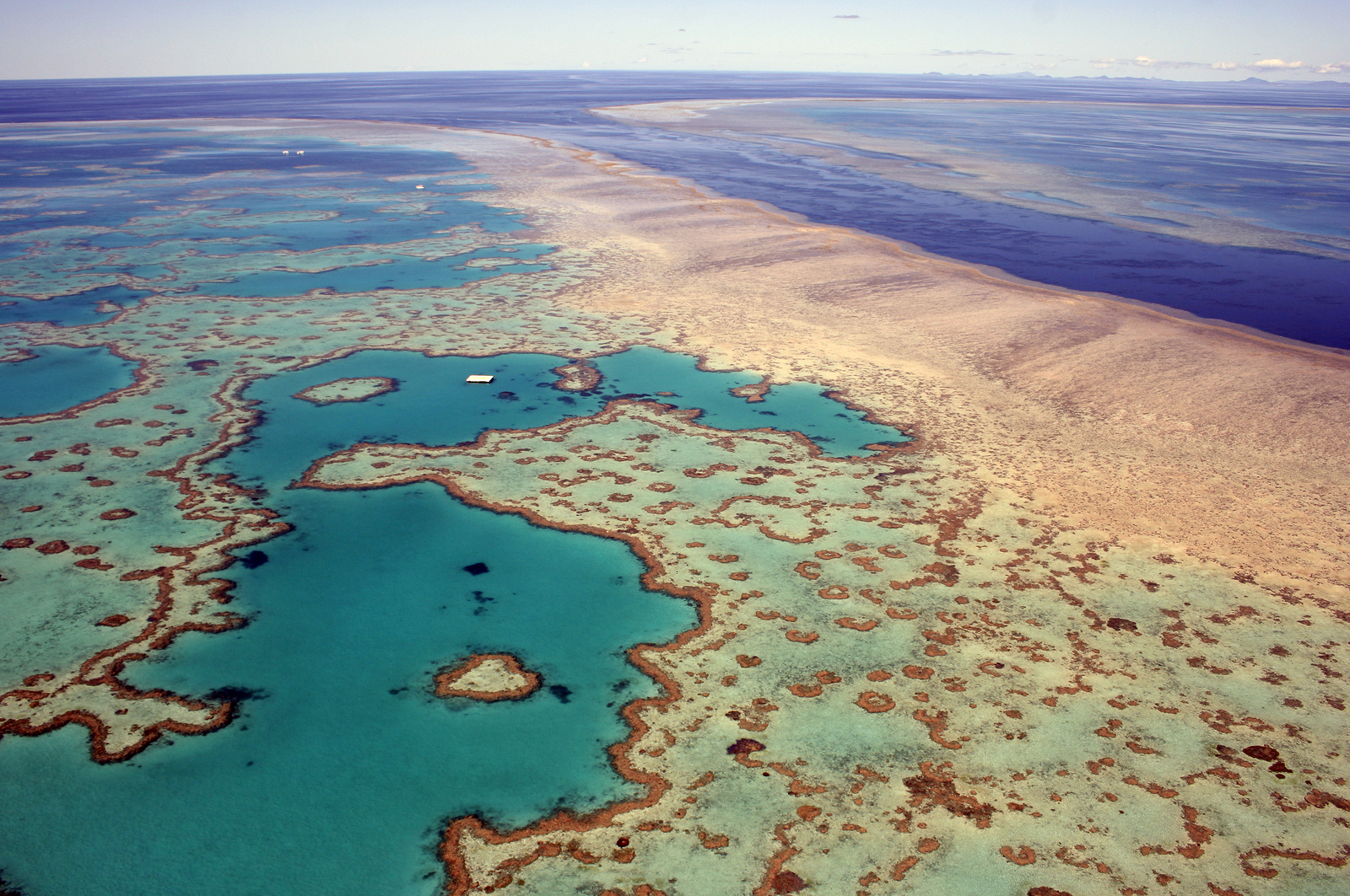 Aerial view of Heart Island in Great Barrier Reef, Australia