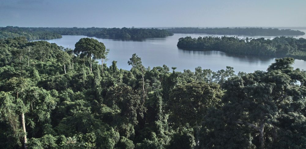 The Ecosystem and Relic Cultural Landscape of Lopé-Okanda, Gabon