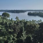 The Ecosystem and Relic Cultural Landscape of Lopé-Okanda, Gabon