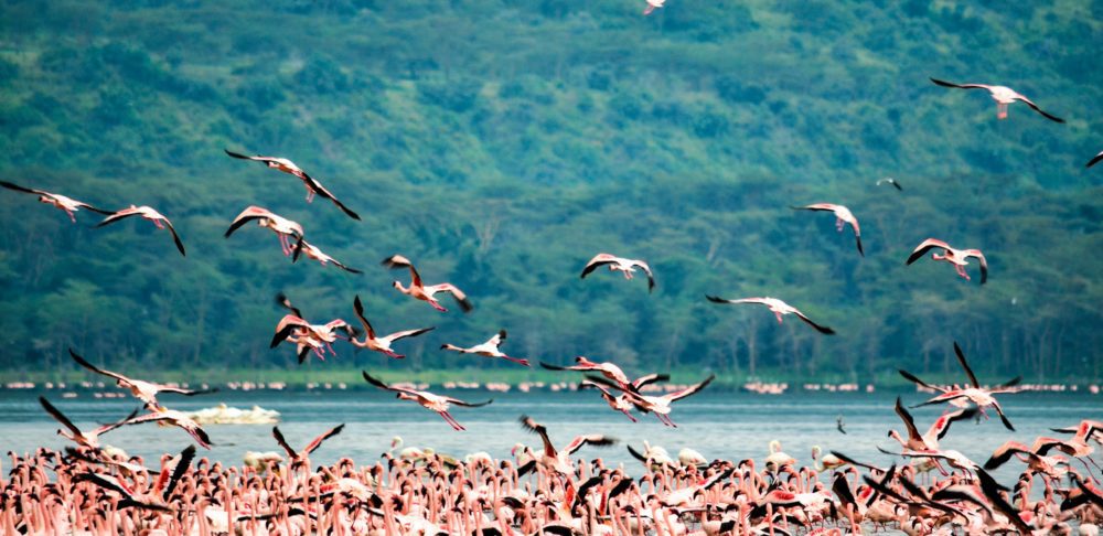 Rift valley, Kenya