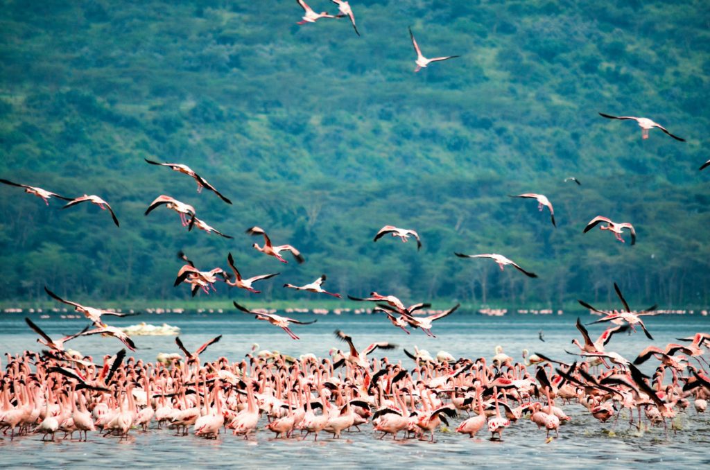 Rift valley, Kenya