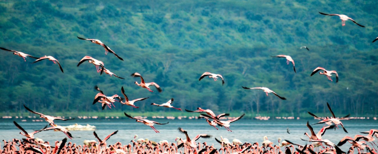 Rift valley, Kenya