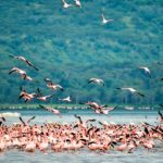 Rift valley, Kenya