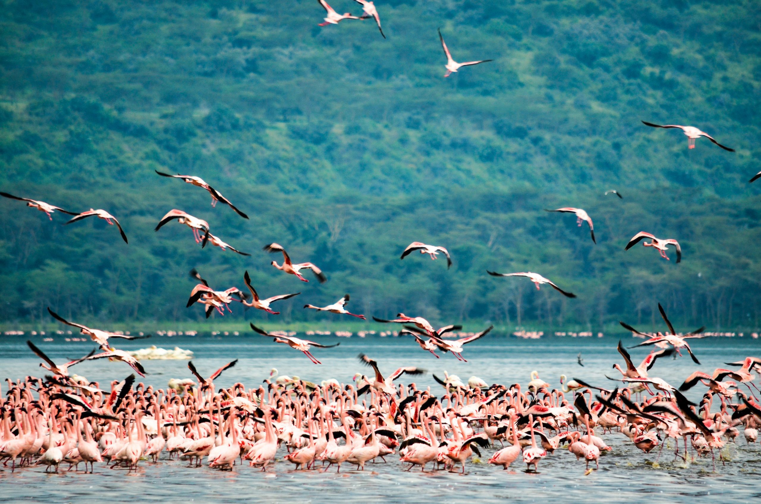 Rift valley, Kenya