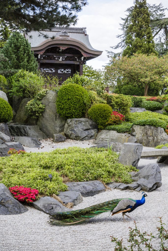 Japanese Gateway and Japanese Landscapes at Kew Gardens