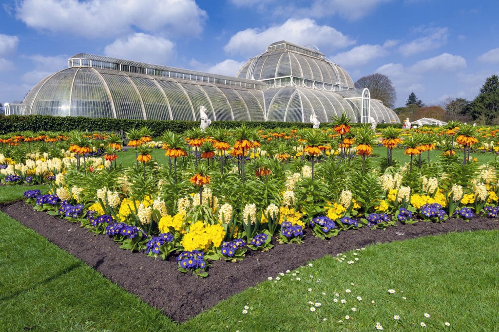 Palm House, An Iconic Victorian Glasshouse