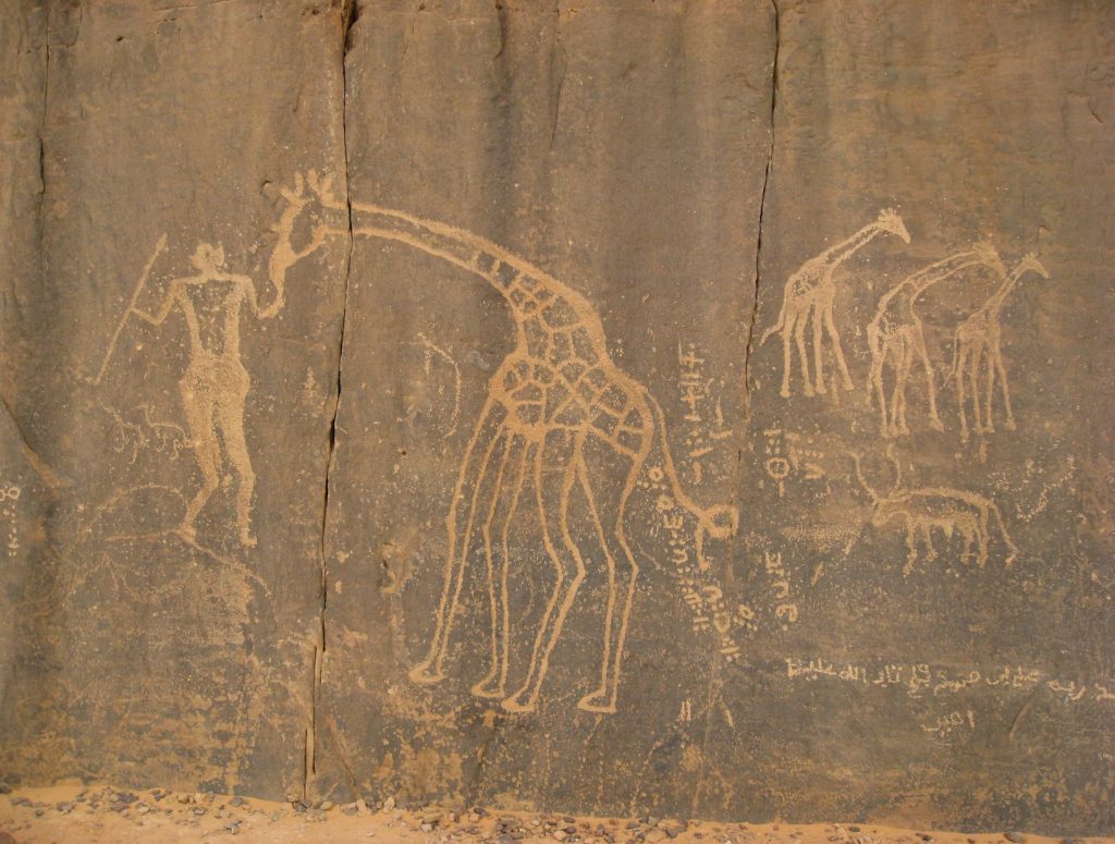 Tassili n'Ajjer