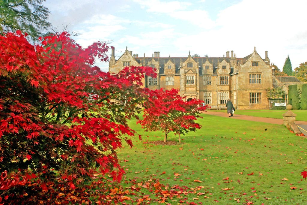 Wakehurst Gardens Uk