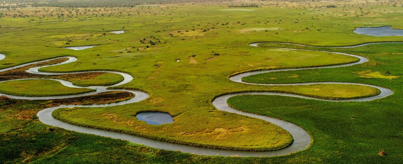 Okavango Delta