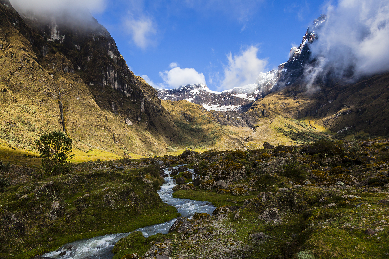 El Altar volcano Sangay National Park, Ecuadorian Andes.