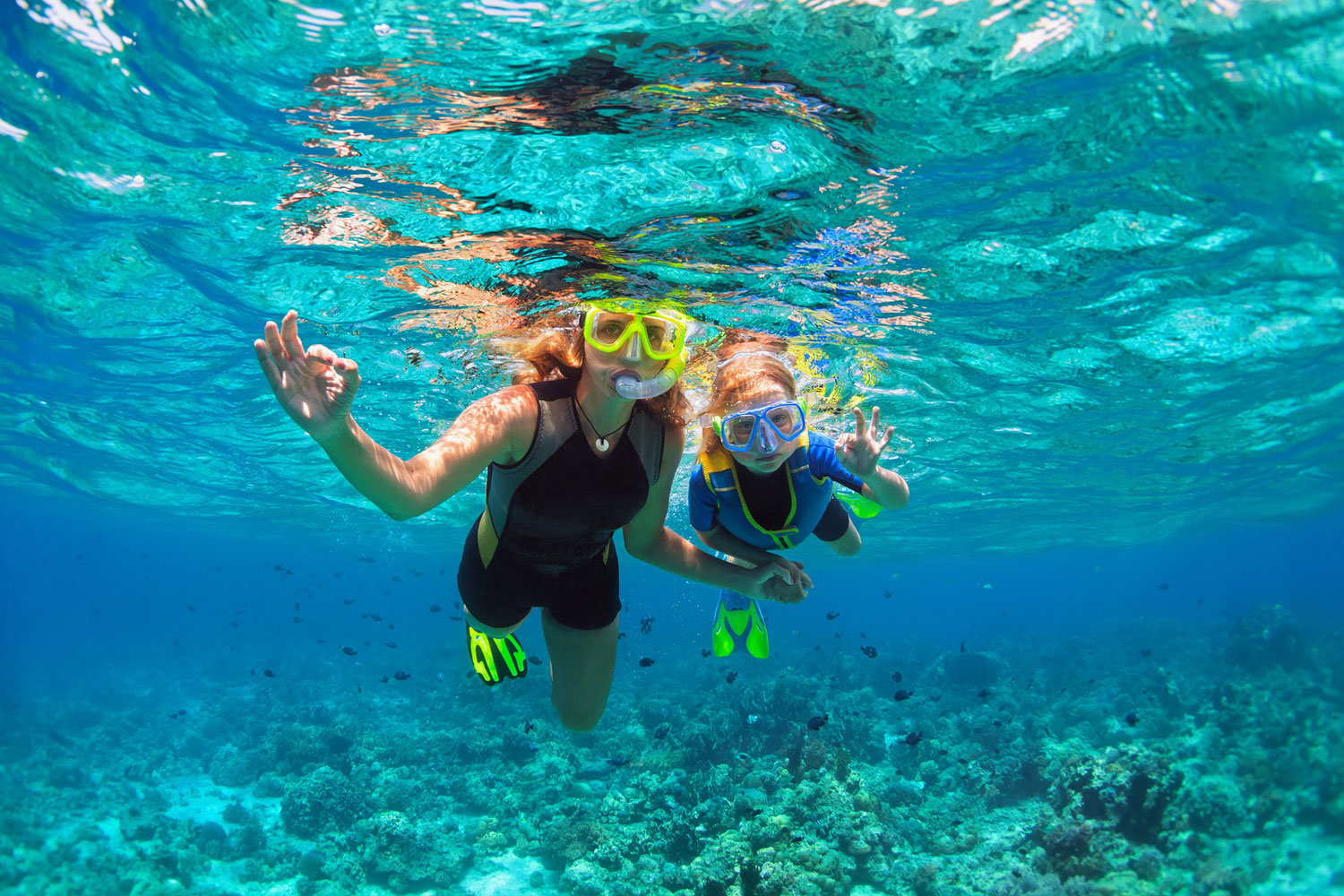 Family snorkeling in coral reef