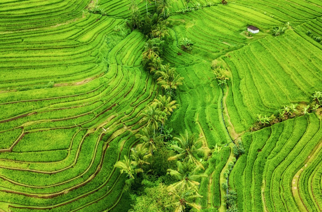 Aerial View Of UNESCO World Heritage Site in Bali of Rice Terraces.