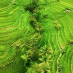 Aerial View Of UNESCO World Heritage Site in Bali of Rice Terraces.