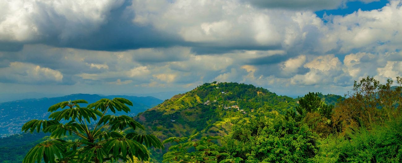 Blue Mountains in Jamaica