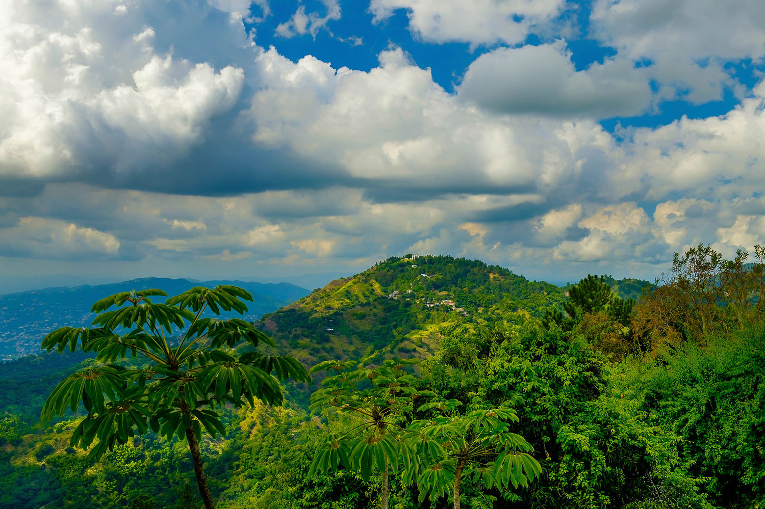 Blue Mountains in Jamaica