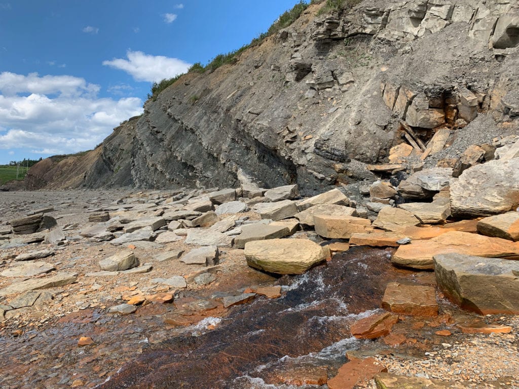 Joggins Fossil Cliffs Canada