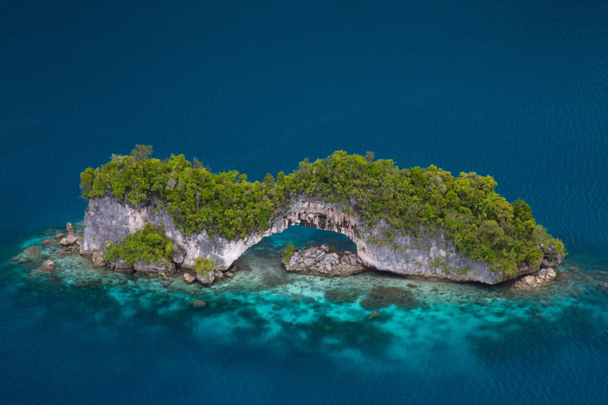 palau island visit