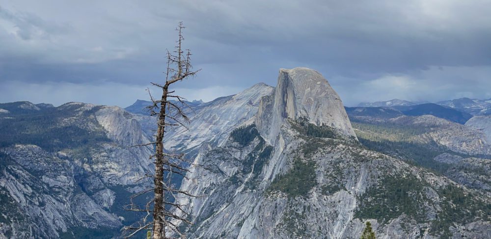 Yosemite National Park