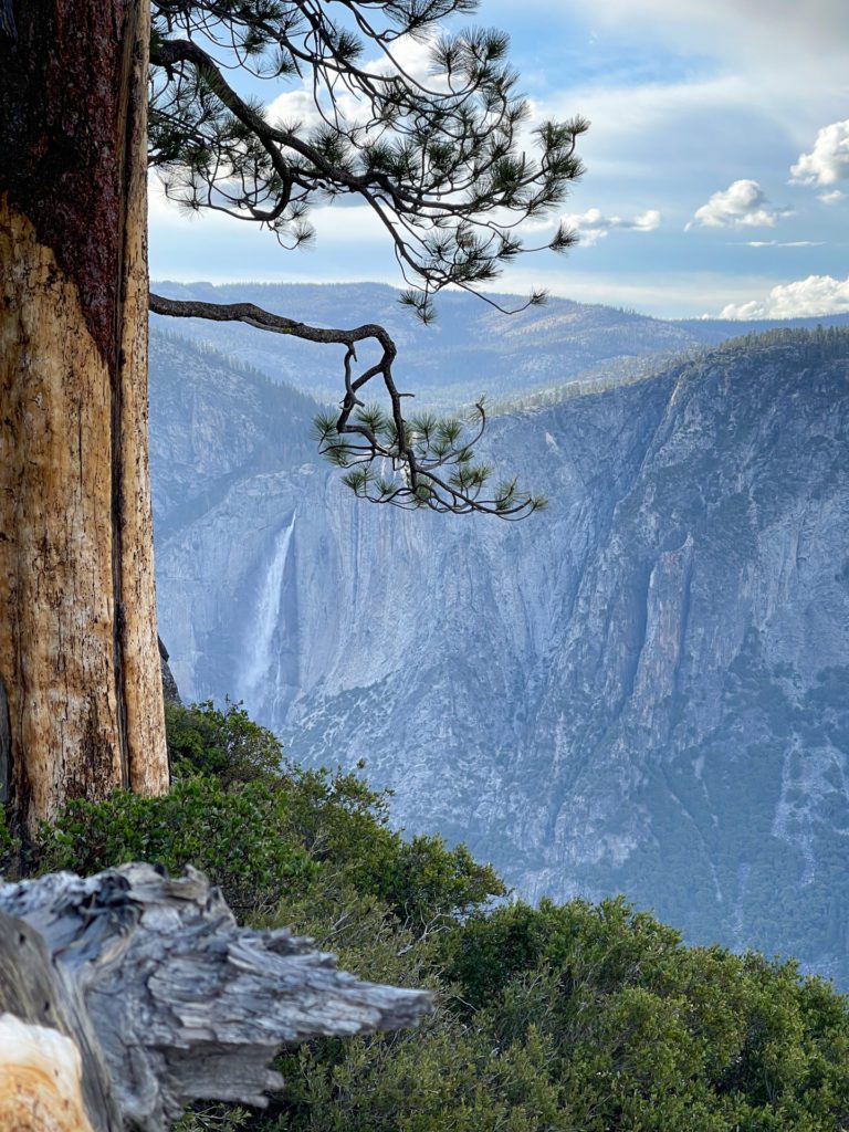 Yosemite National Park