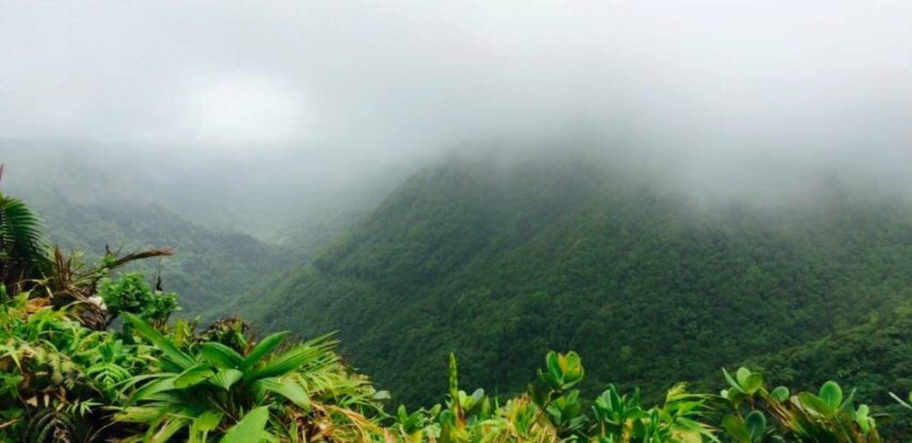 UNESCO World Heritage Site in Dominica