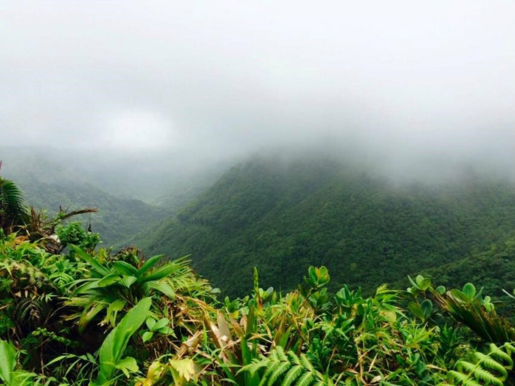 UNESCO World Heritage Site in Dominica 