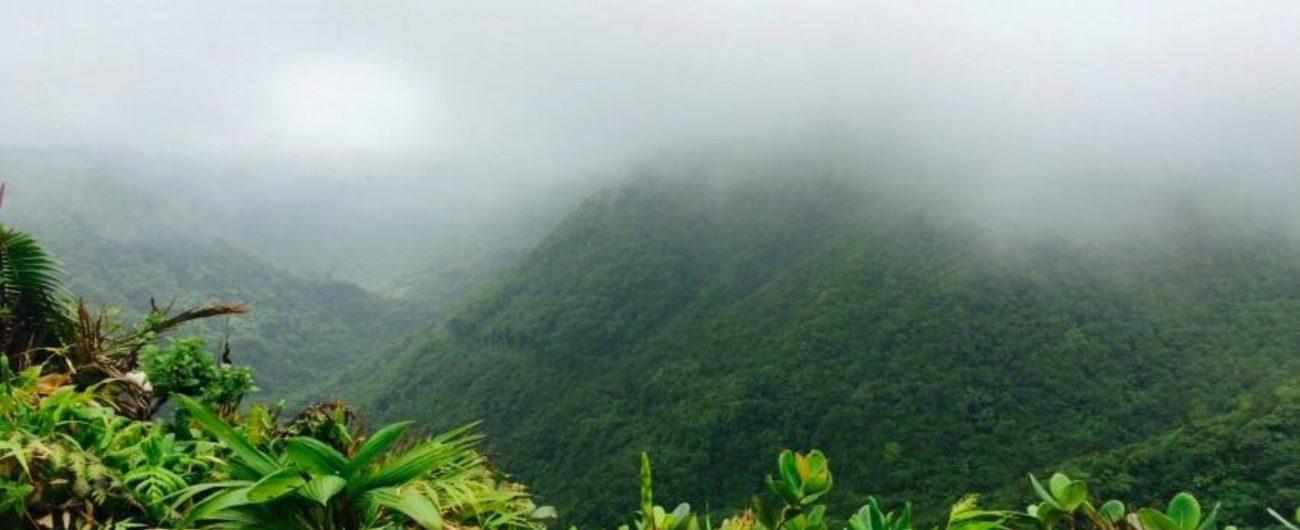 UNESCO World Heritage Site in Dominica