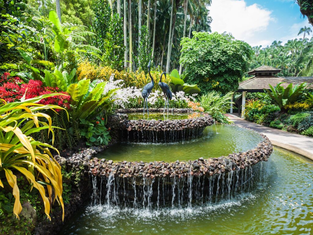 Singapore Botanical Garden