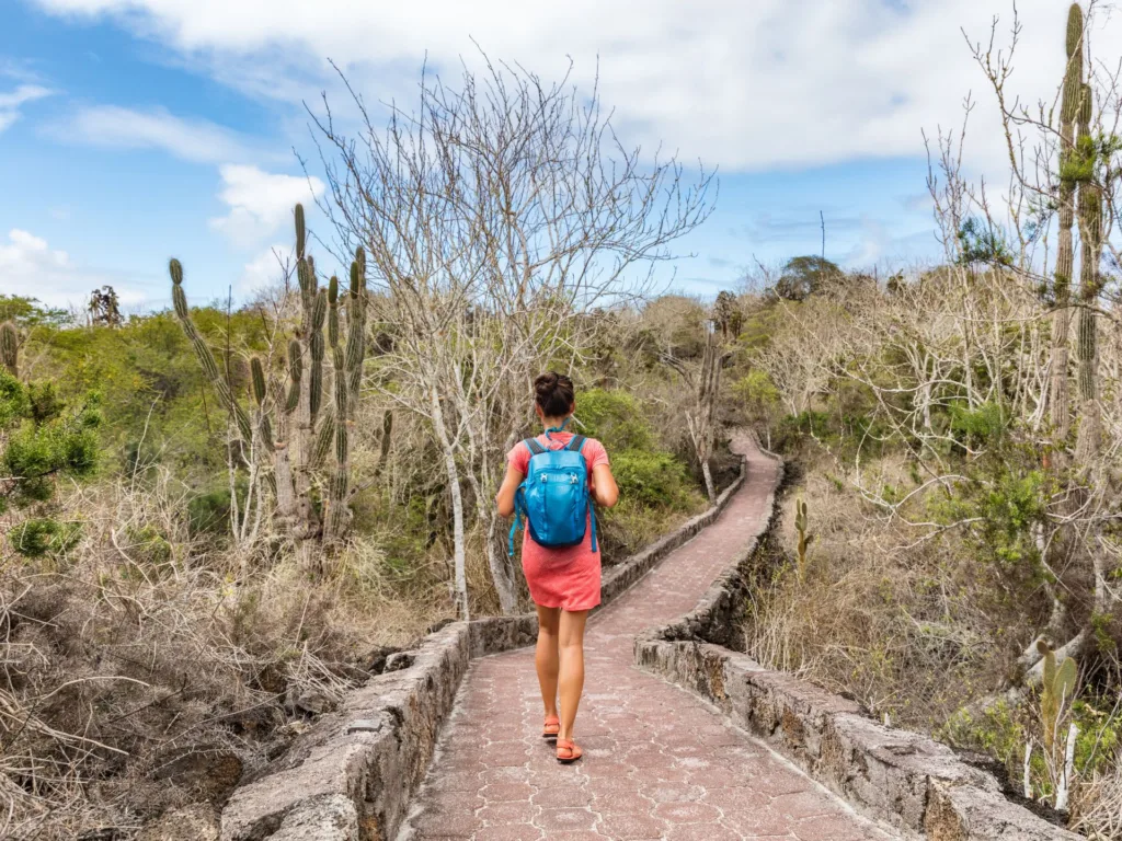 Back of hiker walking on a stone path in the Galapagos Islands.