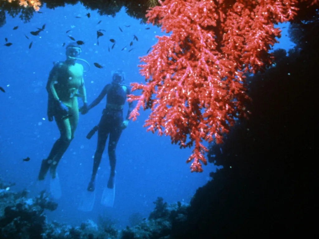 A couple SCUBA diving in the Great Barrier Reef.